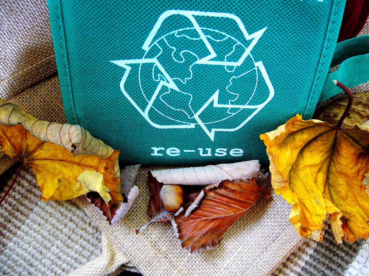 recycle, reuse, recycling-57136.jpg